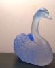 160.26b.cygne bleu copie.JPG